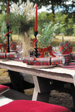 Carica l'immagine nel visualizzatore di Gallery, CRACKER TARTAN X5
