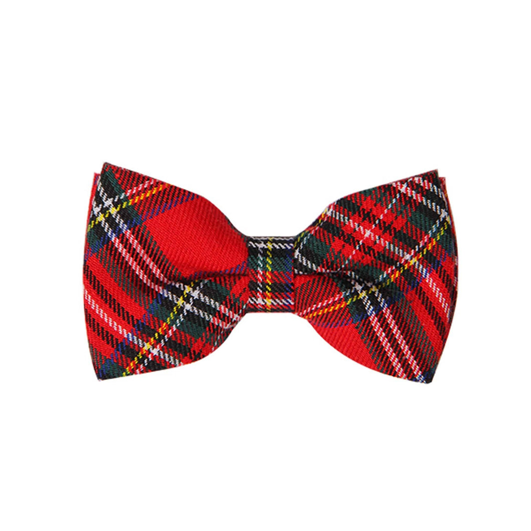 Papillon Royal Stewart